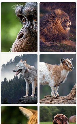 肥猫看看截图_2
