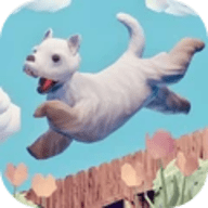 dog dash 0.5 安卓版