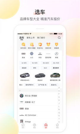 大料汽车截图_3