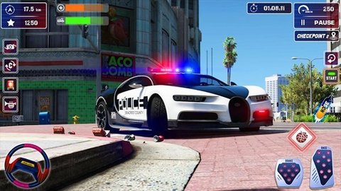 警车追逐停车（Police Chase）截图_4