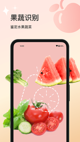 花卉识别大全 v1.0.0 安卓版截图_3