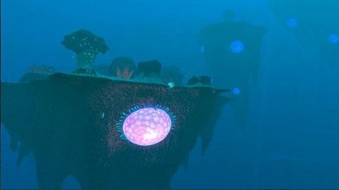 水下生存模拟（Underwater Survival）截图_1