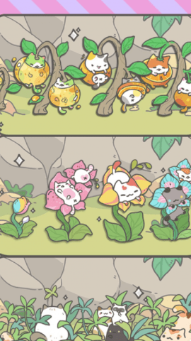 养猫达人截图_2