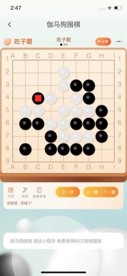 伽马狗围棋截图_1