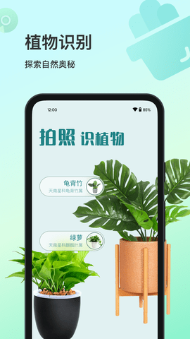 花卉识别大全 v1.0.0 安卓版截图_2