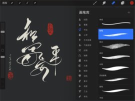 procreate中文版（procreate） v2.0.2 安卓版截图_2