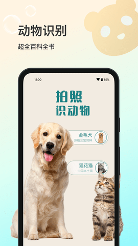 花卉识别大全 v1.0.0 安卓版截图_1