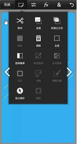 PSCC v9.9.9 安卓版截图_2