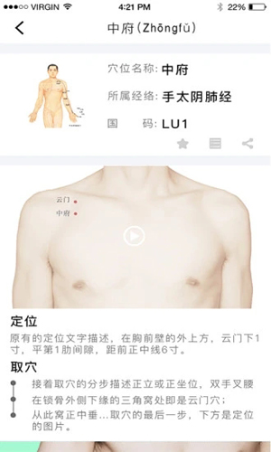 灸大夫经络专业版截图_2