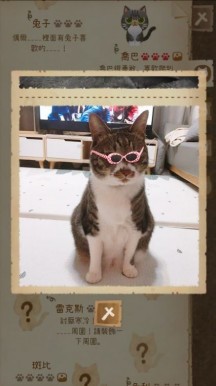 猫咪和秘密森林安卓版截图_2