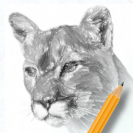 素描绘画入门教程 v2.1.1 安卓版