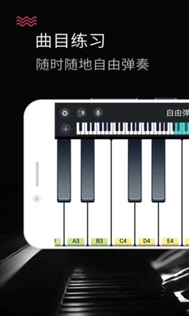 模拟钢琴 v12.0.2 安卓版截图_1