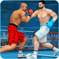 拳击比赛跆拳道（Ninja Punch Boxing Warrior） 3.3.2 安卓版