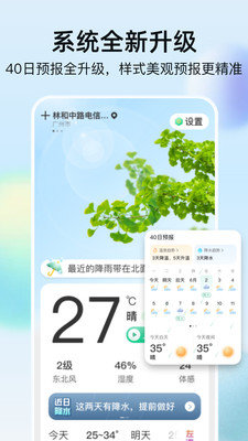 竹雨天气安卓版截图_1