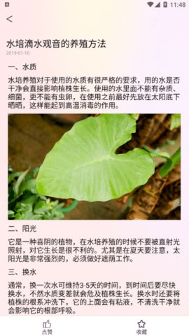 行色识花君 1.1截图_2