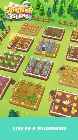 幸存者岛（Survivor Island） 1.0.2 安卓版截图_3