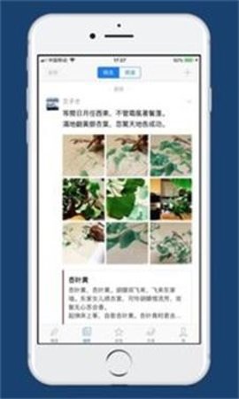 西窗烛 v6.0.7 安卓版截图_3