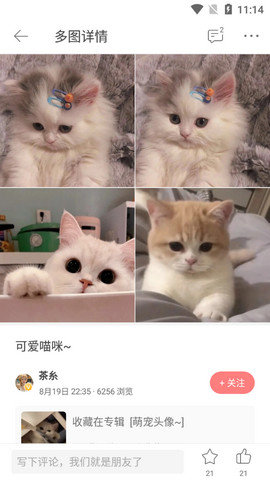 堆糖 v8.10.1 安卓版截图_3