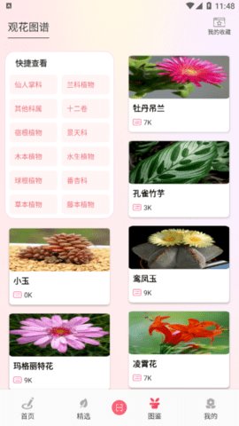 行色识花君 1.1截图_1