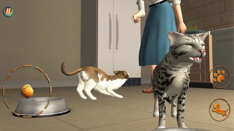 猫咪想恋爱 v300.1.0.3018 安卓版截图_1