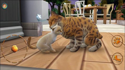 猫咪想恋爱 v300.1.0.3018 安卓版截图_3
