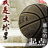 我是大球星 4.0.3 安卓版
