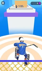 屋顶曲棍球（Hockey Roof） v1.0 安卓版截图_2