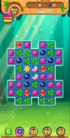有趣的森林比赛（Forest Match） v1.2 安卓版截图_4