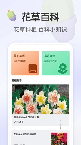 畅享大字版 v1.0.0 安卓版截图_1