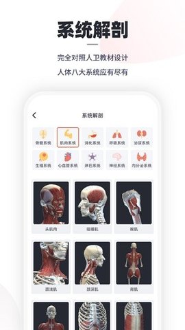 口袋人体解剖 2.1.9 安卓版截图_2