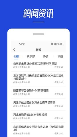 青鸽网 v3.9.3截图_1