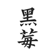 黑莓小说APP 1000 安卓版