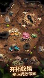 蚂蚁地下王国模拟器（The Ants） v1.22.0 安卓版截图_3