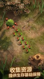 蚂蚁地下王国模拟器（The Ants） v1.22.0 安卓版截图_2