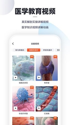 口袋人体解剖 2.1.9 安卓版截图_4