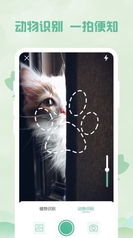 识全能王截图_2
