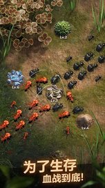 蚂蚁地下王国模拟器（The Ants） v1.22.0 安卓版截图_4
