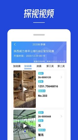 青鸽网 v3.9.3截图_3