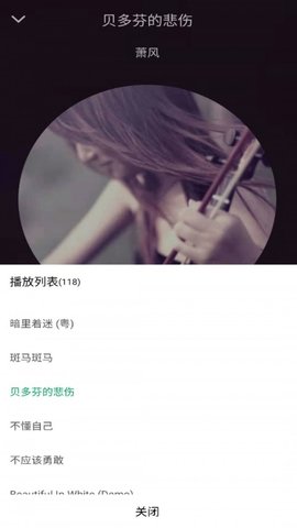 至简音乐播放器 1.2 安卓版截图_3
