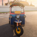 嘟嘟车驾驶模拟器(Tuk Tuk Rikshaw Auto Games)