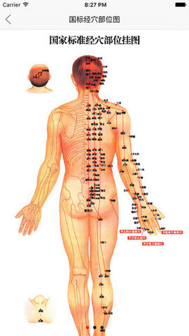 灸大夫经络穴位图解 5.2.1 安卓版截图_2