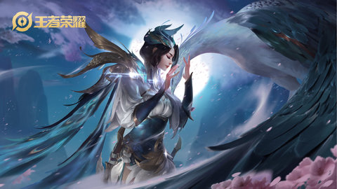 王者荣耀全皮肤美化包 1.0.3 安卓版截图_4