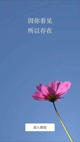 微信隐藏性别插件APP 4.2 安卓版截图_1