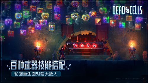 Dead Cells(重生细胞完整版免费中文)截图_3