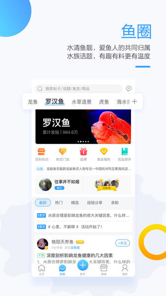 龙巅鱼邻截图_3