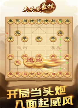 天天爱棋截图_1