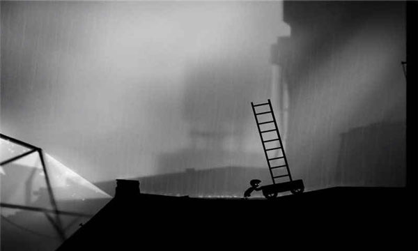 LIMBO（地狱边境中文版）截图_3