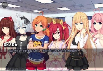 闪耀之星galgame 1.00 安卓版截图_1
