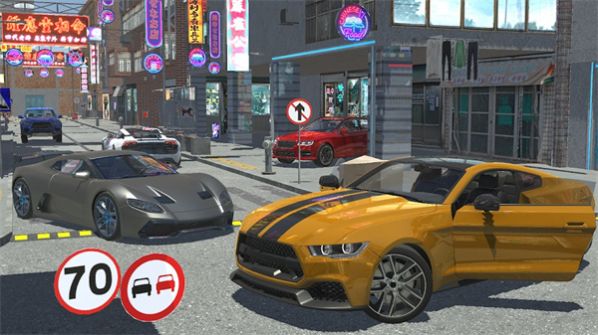 VGS Highway: Street Pursuit（高速公路街道追捕）截图_2