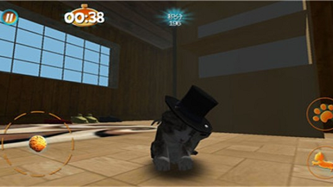 真实小猫3D模拟 1.0 安卓版截图_1